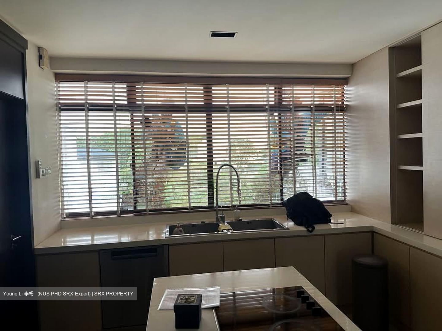 Astrid Meadows (D10), Condominium #555580181